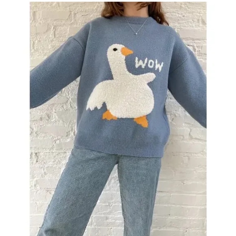 Aelfric Eden wow duck silly goose cozy sweater